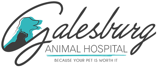 Galesburg Animal Hospital Logo 
