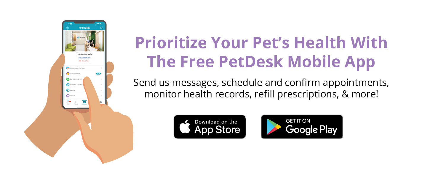 download the pet desk app