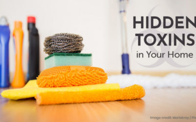 Hidden Toxins in Your Home
