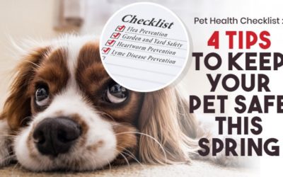 Pet Health Checklist: 4 Tips  to Keep Your Pet Safe This Spring