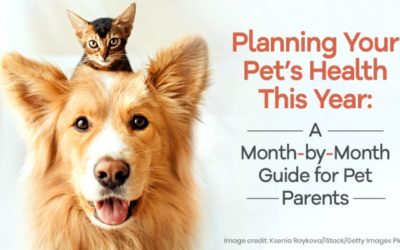 Planning Your Pet’s Health This Year: A Month-by-Month Guide for Pet Parents