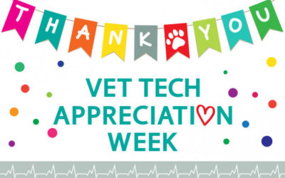 3 Reasons We Appreciate Our Veterinary Technicians