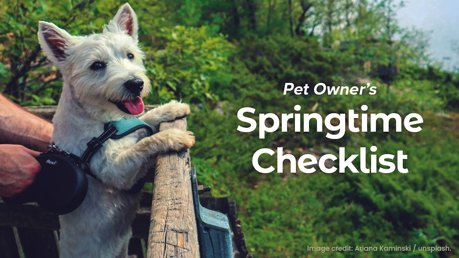 Your pet's springtime checklist