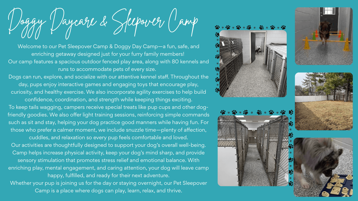 Day Camp/Sleepover Camp - Top